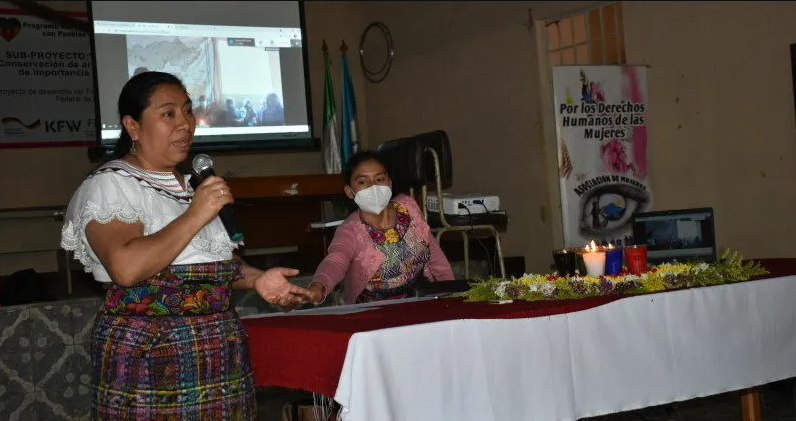  Foto: David Diego Marcos 